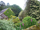 Beautiful gardens at Auchencheyne holiday cottage